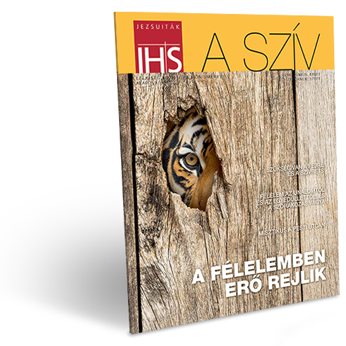 A SZÍV 2016 JÚNIUS