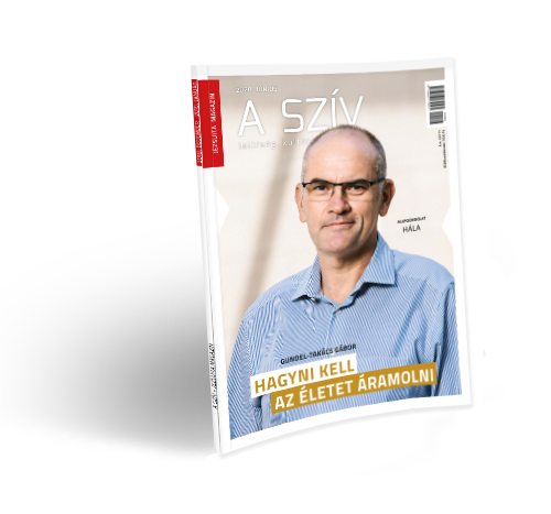 A Szív jezsuita magazin